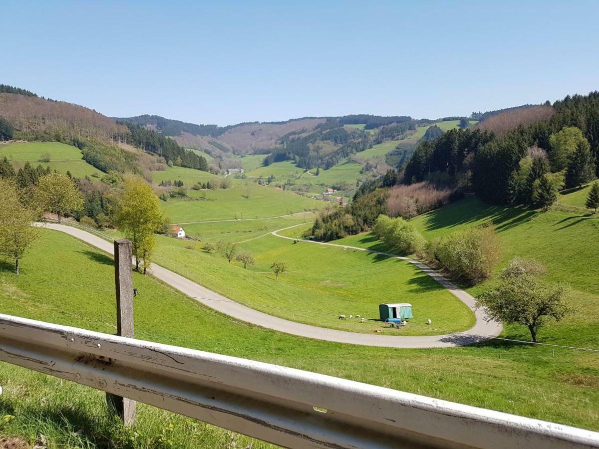 Am Siegelbaechle -2 Mit E-Bikes Vermietung Appartement Siegelau Buitenkant foto